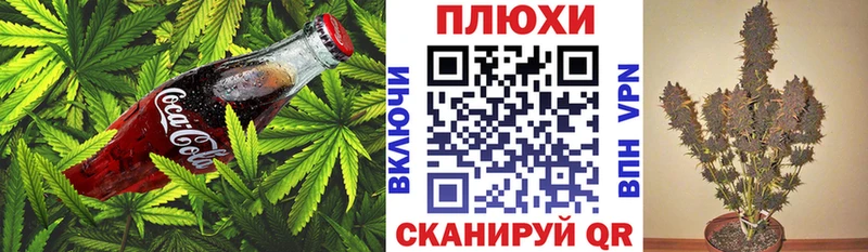 darknet официальный сайт наркотики Бежецк Cannafood конопля