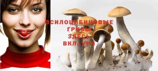 кокс Баксан