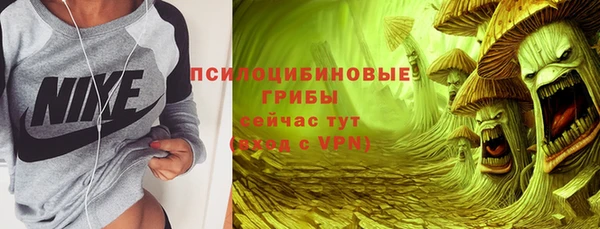 кокс Баксан