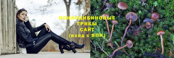 сатива Балахна