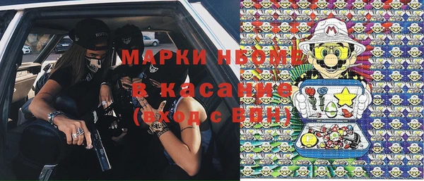 сатива Балахна
