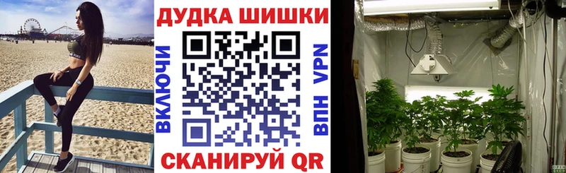 Марихуана VHQ  закладки  Бежецк 